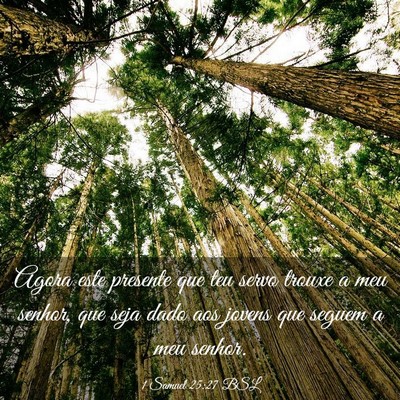 Picture 03 - 1 Samuel 25:27 BSL - Agora este presente que teu servo trouxe a meu - Bible Verse Picture