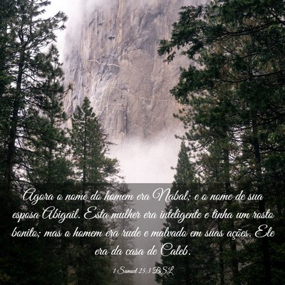 Picture 03 - 1 Samuel 25:3 BSL - Agora o nome do homem era Nabal; e o nome de sua - Bible Verse Picture