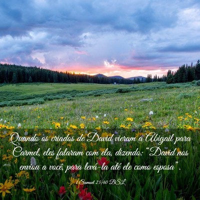 Picture 03 - 1 Samuel 25:40 BSL - Quando os criados de David vieram a Abigail para - Bible Verse Picture