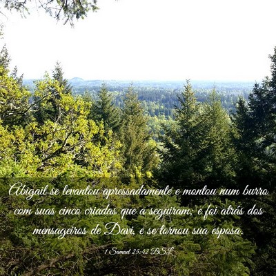 Picture 03 - 1 Samuel 25:42 BSL - Abigail se levantou apressadamente e montou num - Bible Verse Picture