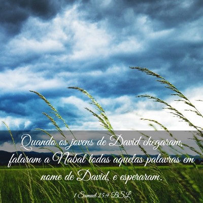 Picture 03 - 1 Samuel 25:9 BSL - Quando os jovens de David chegaram, falaram a - Bible Verse Picture