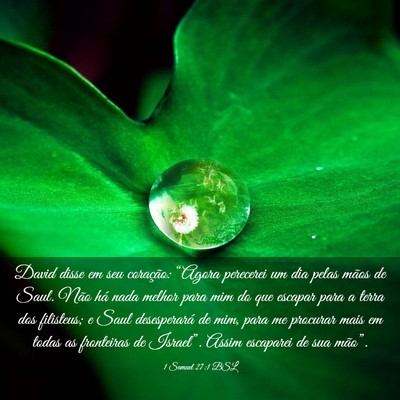 Picture 03 - 1 Samuel 27:1 BSL - David disse em seu coração: “Agora perecerei - Bible Verse Picture