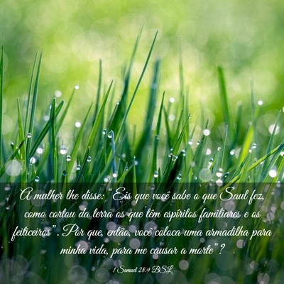 Picture 03 - 1 Samuel 28:9 BSL - A mulher lhe disse: “Eis que você sabe o que - Bible Verse Picture