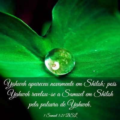 Picture 03 - 1 Samuel 3:21 BSL - Yahweh apareceu novamente em Shiloh; pois Yahweh - Bible Verse Picture