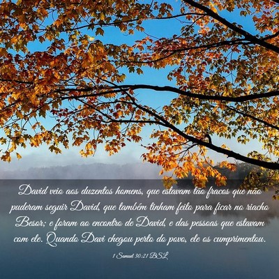 Picture 03 - 1 Samuel 30:21 BSL - David veio aos duzentos homens, que estavam tão - Bible Verse Picture