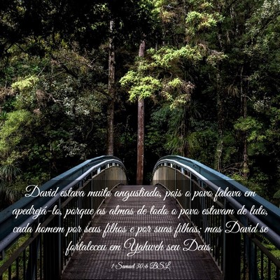 Picture 03 - 1 Samuel 30:6 BSL - David estava muito angustiado, pois o povo falava - Bible Verse Picture