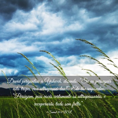 Picture 03 - 1 Samuel 30:8 BSL - David perguntou a Yahweh, dizendo: “Se eu - Bible Verse Picture