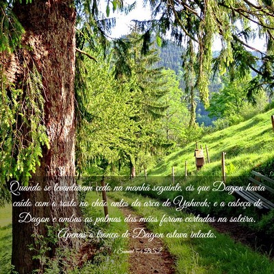 Picture 03 - 1 Samuel 5:4 BSL - Quando se levantaram cedo na manhã seguinte, eis - Bible Verse Picture