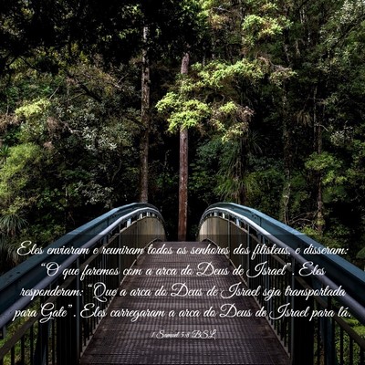 Picture 03 - 1 Samuel 5:8 BSL - Eles enviaram e reuniram todos os senhores dos - Bible Verse Picture