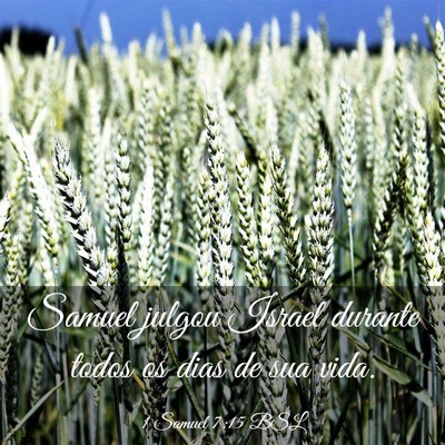 Picture 03 - 1 Samuel 7:15 BSL - Samuel julgou Israel durante todos os dias de sua - Bible Verse Picture