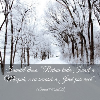 Picture 03 - 1 Samuel 7:5 BSL - Samuel disse: “Reúna todo Israel a Mizpah, e - Bible Verse Picture