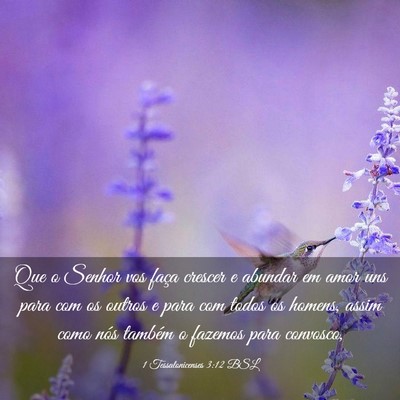Picture 03 - 1 Tessalonicenses 3:12 BSL - Que o Senhor vos faça crescer e abundar em amor - Bible Verse Picture