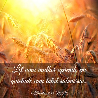 Picture 03 - 1 Timóteo 2:11 BSL - Let uma mulher aprende em quietude com total - Bible Verse Picture