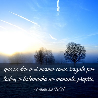 Picture 03 - 1 Timóteo 2:6 BSL - que se deu a si mesmo como resgate por todos, o - Bible Verse Picture