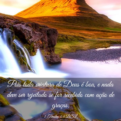Picture 03 - 1 Timóteo 4:4 BSL - Pois toda criatura de Deus é boa, e nada deve - Bible Verse Picture