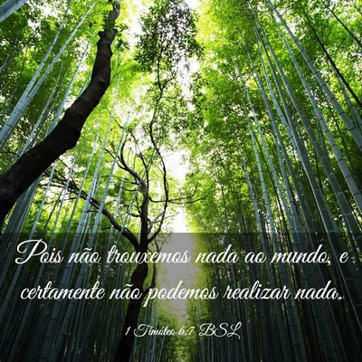 Picture 03 - 1 Timóteo 6:7 BSL - Pois não trouxemos nada ao mundo, e certamente - Bible Verse Picture