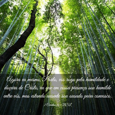 Picture 03 - 2 Coríntios 10:1 BSL - Agora eu mesmo, Paulo, vos rogo pela humildade e - Bible Verse Picture