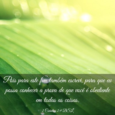 Picture 03 - 2 Coríntios 2:9 BSL - Pois para este fim também escrevi, para que eu - Bible Verse Picture