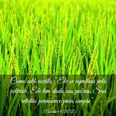 Picture 03 - 2 Coríntios 9:9 BSL - Como está escrito, “Ele se espalhou pelo - Bible Verse Picture
