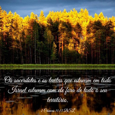 Picture 03 - 2 Crônicas 11:13 BSL - Os sacerdotes e os levitas que estavam em todo - Bible Verse Picture