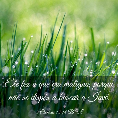 Picture 03 - 2 Crônicas 12:14 BSL - Ele fez o que era maligno, porque não se dispôs - Bible Verse Picture