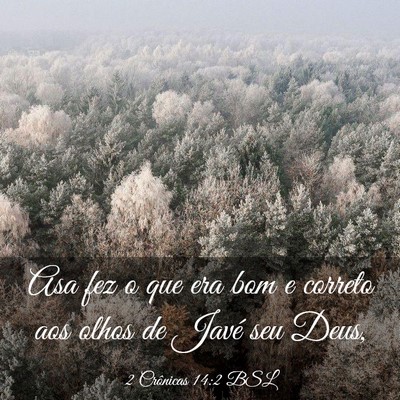 Picture 03 - 2 Crônicas 14:2 BSL - Asa fez o que era bom e correto aos olhos de - Bible Verse Picture