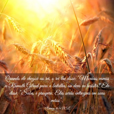 Picture 03 - 2 Crônicas 18:14 BSL - Quando ele chegou ao rei, o rei lhe disse: - Bible Verse Picture