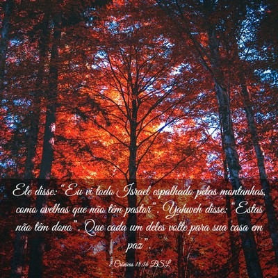 Picture 03 - 2 Crônicas 18:16 BSL - Ele disse: “Eu vi todo Israel espalhado pelas - Bible Verse Picture