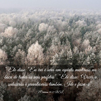 Picture 03 - 2 Crônicas 18:21 BSL - “ Ele disse: “Eu irei e serei um espírito - Bible Verse Picture