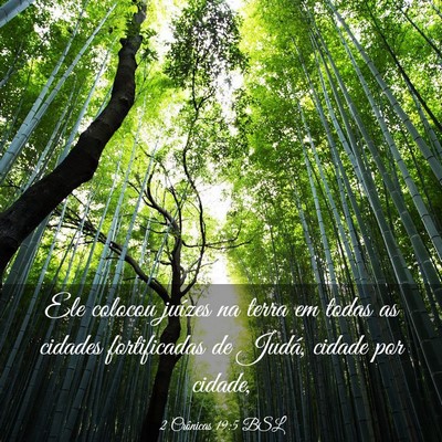 Picture 03 - 2 Crônicas 19:5 BSL - Ele colocou juízes na terra em todas as cidades - Bible Verse Picture