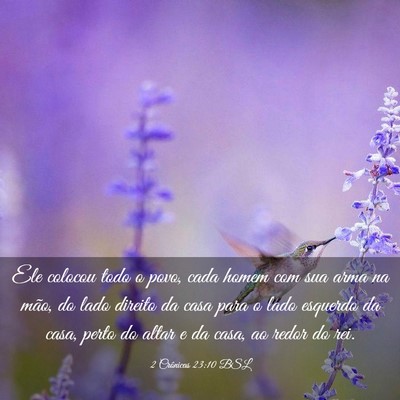 Picture 03 - 2 Crônicas 23:10 BSL - Ele colocou todo o povo, cada homem com sua arma - Bible Verse Picture