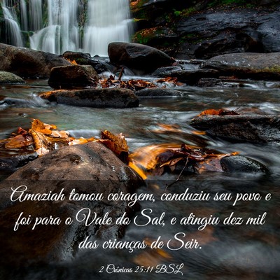 Picture 03 - 2 Crônicas 25:11 BSL - Amaziah tomou coragem, conduziu seu povo e foi - Bible Verse Picture