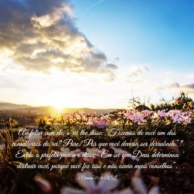 Picture 03 - 2 Crônicas 25:16 BSL - Ao falar com ele, o rei lhe disse: “Fizemos de - Bible Verse Picture