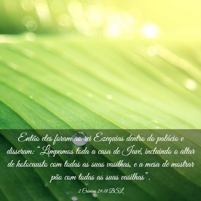 Picture 03 - 2 Crônicas 29:18 BSL - Então eles foram ao rei Ezequias dentro do - Bible Verse Picture
