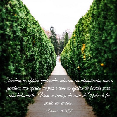 Picture 03 - 2 Crônicas 29:35 BSL - Também as ofertas queimadas estavam em - Bible Verse Picture