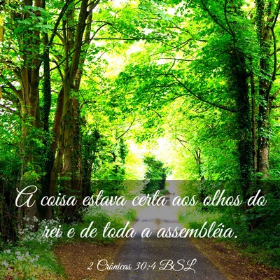 Picture 03 - 2 Crônicas 30:4 BSL - A coisa estava certa aos olhos do rei e de toda a - Bible Verse Picture