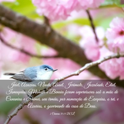 Picture 03 - 2 Crônicas 31:13 BSL - Jeiel, Azazias, Naate, Asael, Jerimote, Jozabade, - Bible Verse Picture