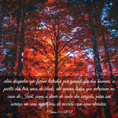 Picture 03 - 2 Crônicas 31:16 BSL - além daqueles que foram listados por genealogia - Bible Verse Picture