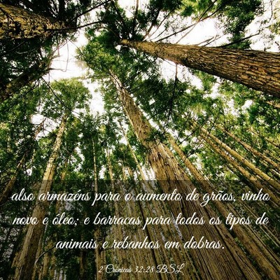 Picture 03 - 2 Crônicas 32:28 BSL - also armazéns para o aumento de grãos, vinho - Bible Verse Picture