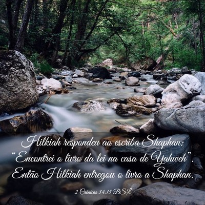 Picture 03 - 2 Crônicas 34:15 BSL - Hilkiah respondeu ao escriba Shaphan: - Bible Verse Picture
