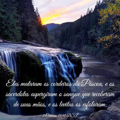 Picture 03 - 2 Crônicas 35:11 BSL - Eles mataram os cordeiros da Páscoa, e os - Bible Verse Picture