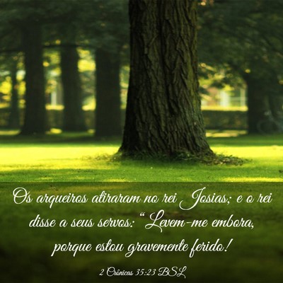 Picture 03 - 2 Crônicas 35:23 BSL - Os arqueiros atiraram no rei Josias; e o rei - Bible Verse Picture