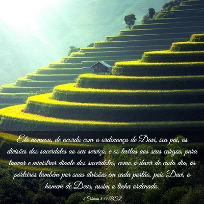 Picture 03 - 2 Crônicas 8:14 BSL - Ele nomeou, de acordo com a ordenança de Davi, - Bible Verse Picture