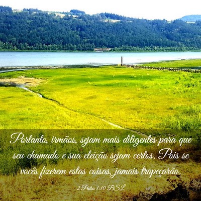 Picture 03 - 2 Pedro 1:10 BSL - Portanto, irmãos, sejam mais diligentes para que - Bible Verse Picture