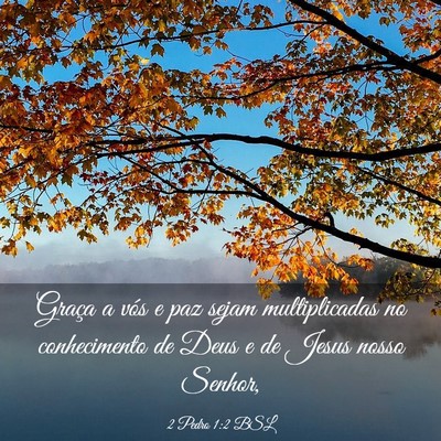 Picture 03 - 2 Pedro 1:2 BSL - Graça a vós e paz sejam multiplicadas no - Bible Verse Picture