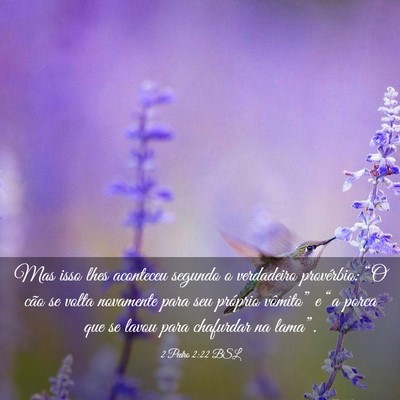 Picture 03 - 2 Pedro 2:22 BSL - Mas isso lhes aconteceu segundo o verdadeiro - Bible Verse Picture