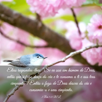 Picture 03 - 2 Reis 1:12 BSL - Elias respondeu-lhes: “Se eu sou um homem de - Bible Verse Picture