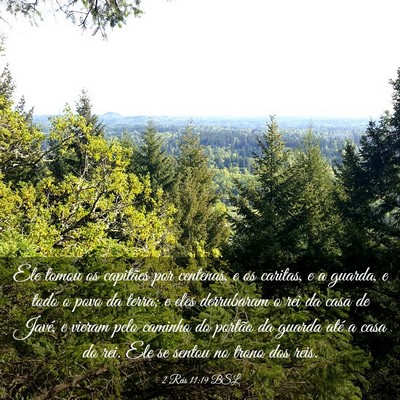 Picture 03 - 2 Reis 11:19 BSL - Ele tomou os capitães por centenas, e os - Bible Verse Picture