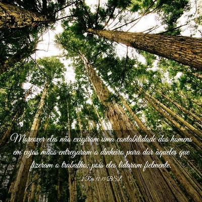 Picture 03 - 2 Reis 12:15 BSL - Moreover eles não exigiram uma contabilidade dos - Bible Verse Picture