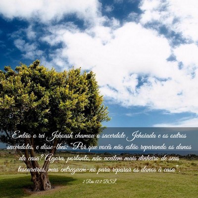 Picture 03 - 2 Reis 12:7 BSL - Então o rei Jehoash chamou o sacerdote Jehoiada - Bible Verse Picture